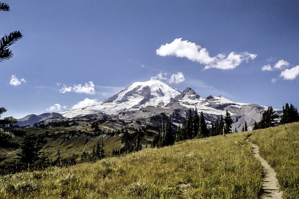 My Secret Meetings with Elvis and Bob: Mount Rainier seen from the Cowlitz Divide trail.